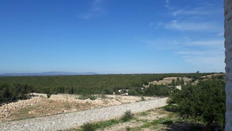 Beau Terrain à Vendre – Ounagha – titré avec permis de construire