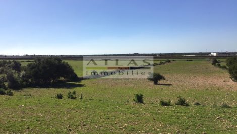 Essaouira : Très beau terrain de 12077 m², titré