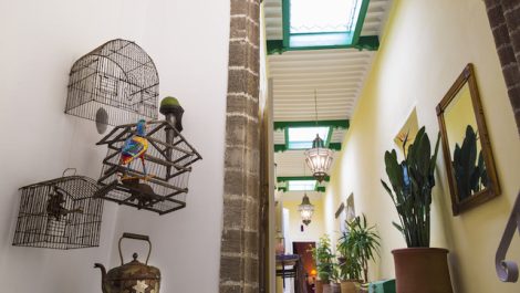 Superbe Appartement avec Terrasse Privée au Cœur de la Médina d’Essaouira