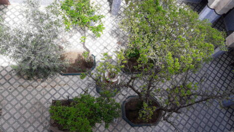 Potentiel exceptionnel, 431 m² au sol à 280 m. de Jemaa El Fna ! Potentiel exceptionnel, 431 m² au sol à 280 m. de Jemaa El Fna !