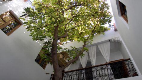 Prix imbattable pour ce charmant Riad de six grandes chambres ! Prix imbattable pour ce charmant Riad de six grandes chambres !