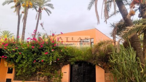 Marrakech – Semlalia : Propriété Vintage des Années 1950 au Cœur de la Ville Marrakech – Semlalia : Propriété Vintage des Années 1950 au Cœur de la Ville