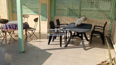 Bright apartment for long-term rent in Essaouira – €450 per month Bright apartment for long-term rent in Essaouira – €450 per month