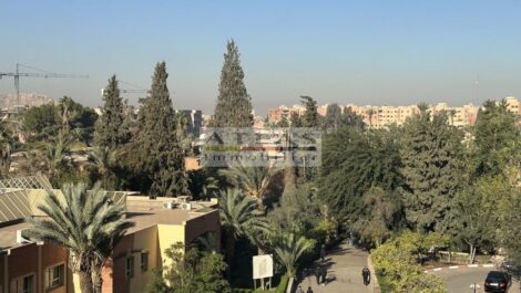 Bright and Modern Apartment in a Sought-After Student District Bright and Modern Apartment in a Sought-After Student District