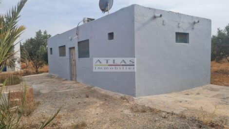 Havre de paix naturel : Terrain agricole de 2,82 hectares + petite maison Havre de paix naturel : Terrain agricole de 2,82 hectares + petite maison