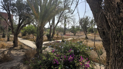 Projet Touristique Exclusif – Palmeraie de Marrakech
