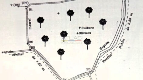 Terrain urbain titré de 1,6 hectare à Tahannaout au prix exceptionnel de 450 Dhs/m² Terrain urbain titré de 1,6 hectare à Tahannaout au prix exceptionnel de 450 Dhs/m²