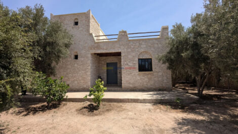 Villa contemporaine avec jardin d’oliviers et vue champêtre à Ounagha